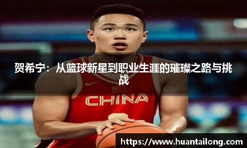 贺希宁：从篮球新星到职业生涯的璀璨之路与挑战